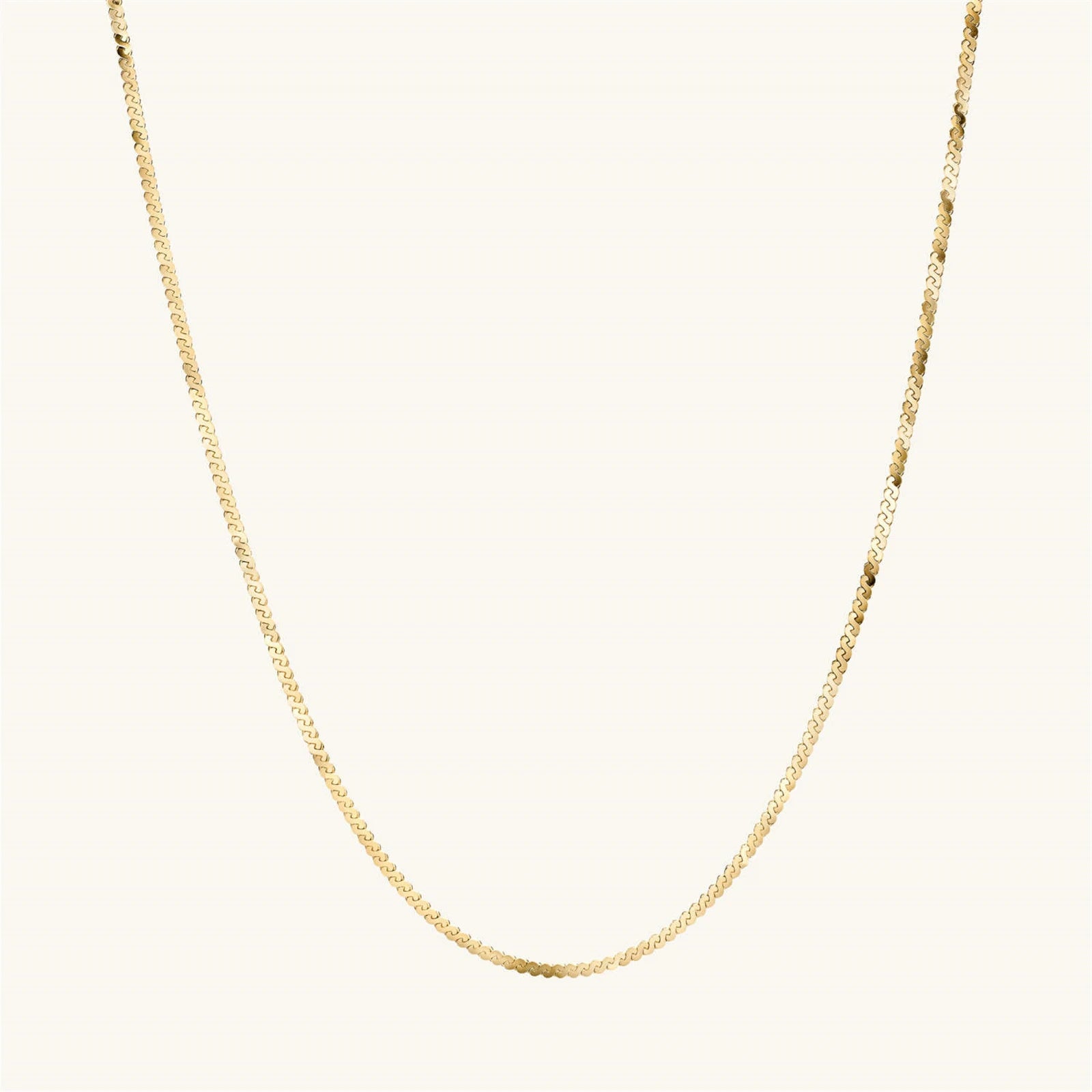 Lunaria Chain Necklace